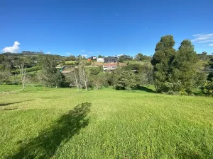 IMG_0621