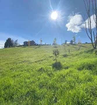 lote campestre en Arrayanes