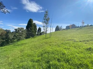 IMG_0627