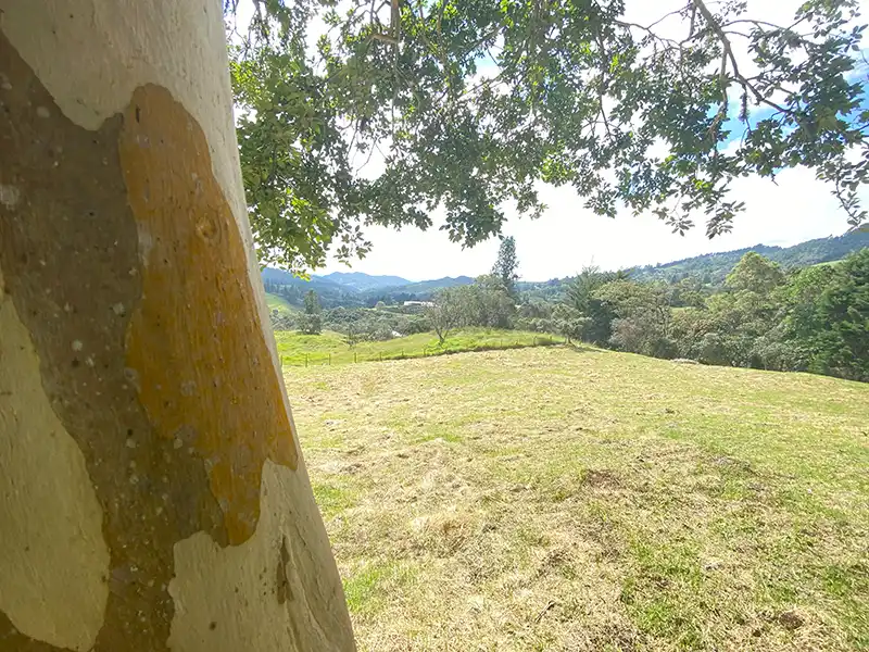lote campestre variante de Las Palmas