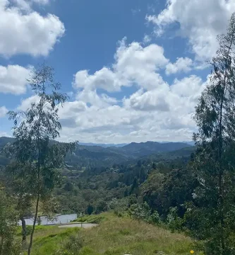 lote en variante de palmas