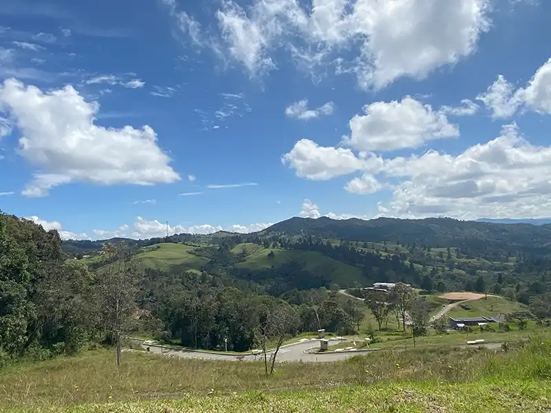 lote en variante de las palmas