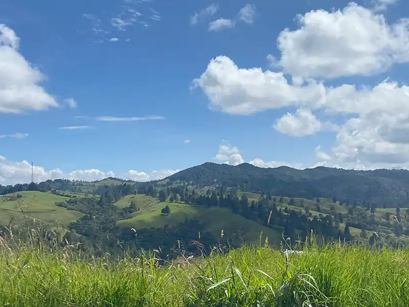 lote en la variante de las palmas