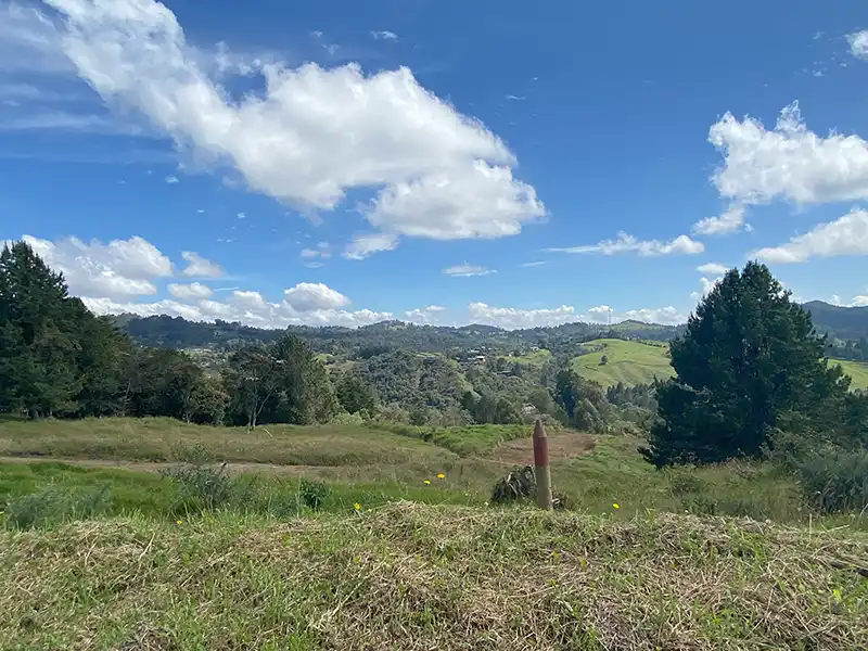 terreno campestre en la variante Palmas