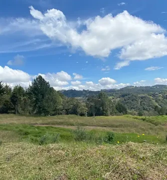 lote en la variante de palmas