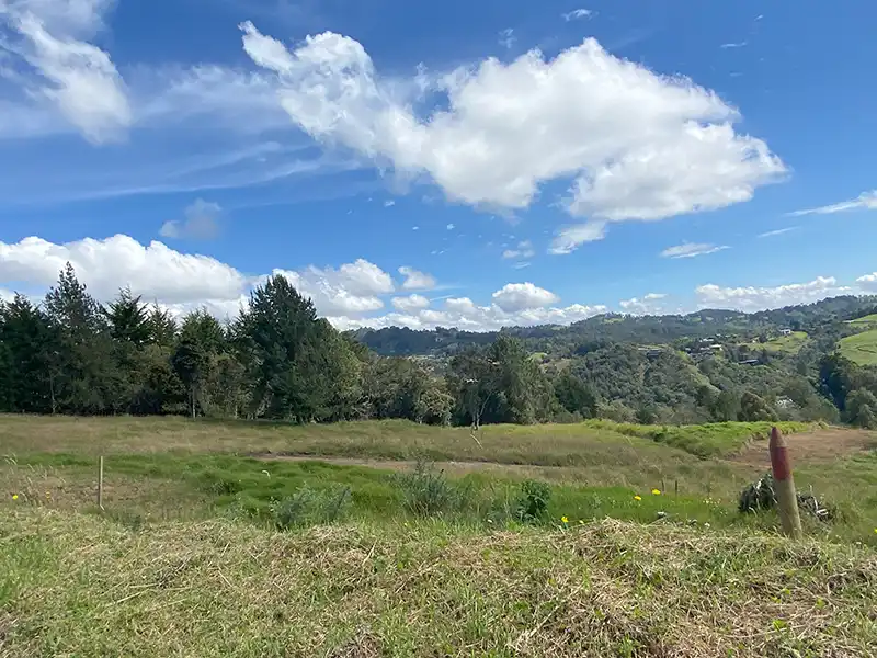 lote en la variante de palmas