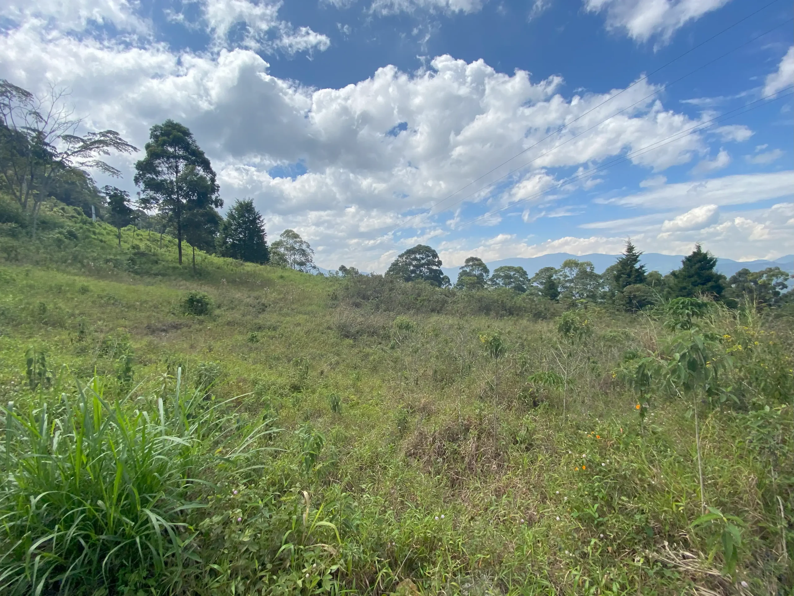 Lote para la venta en Palmas