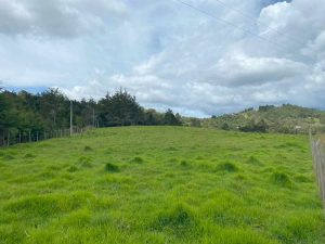 LOTE-INDEPENDIENTE-PANTANILLO-1