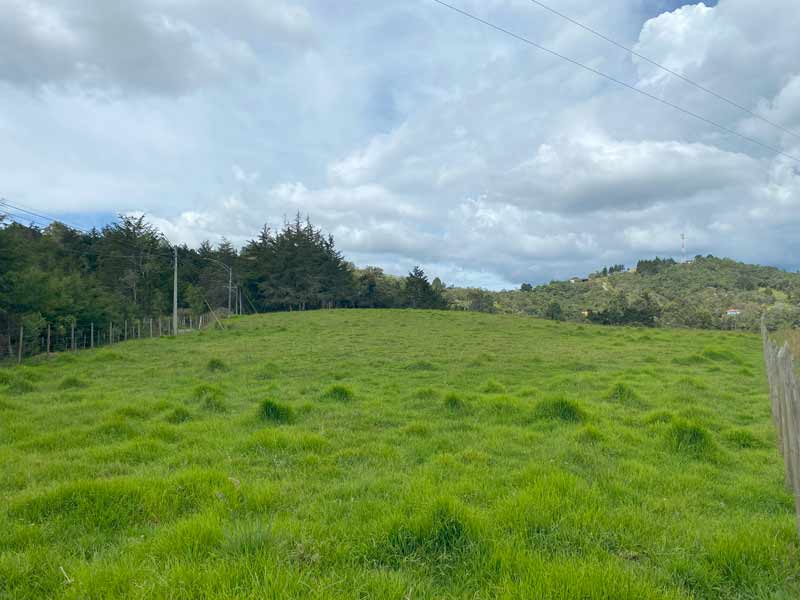 LOTE-INDEPENDIENTE-PANTANILLO-1