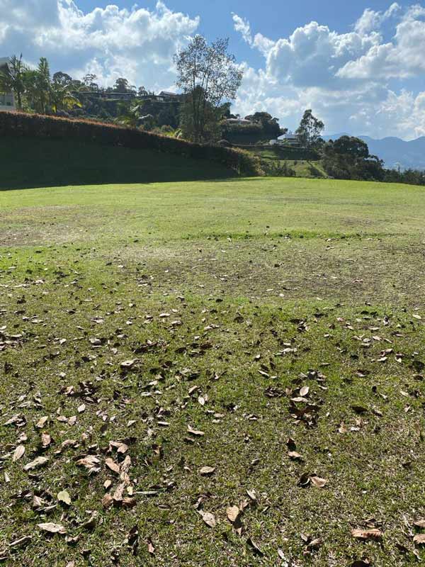 Lote en Sierra Alta - Don Diego