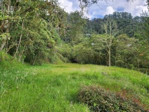 Lote en Cedro Verde Las Palmas