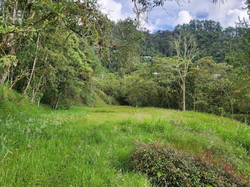 Lote en Cedro Verde Las Palmas
