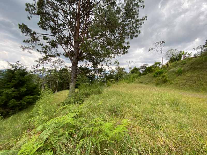 lote en envigado