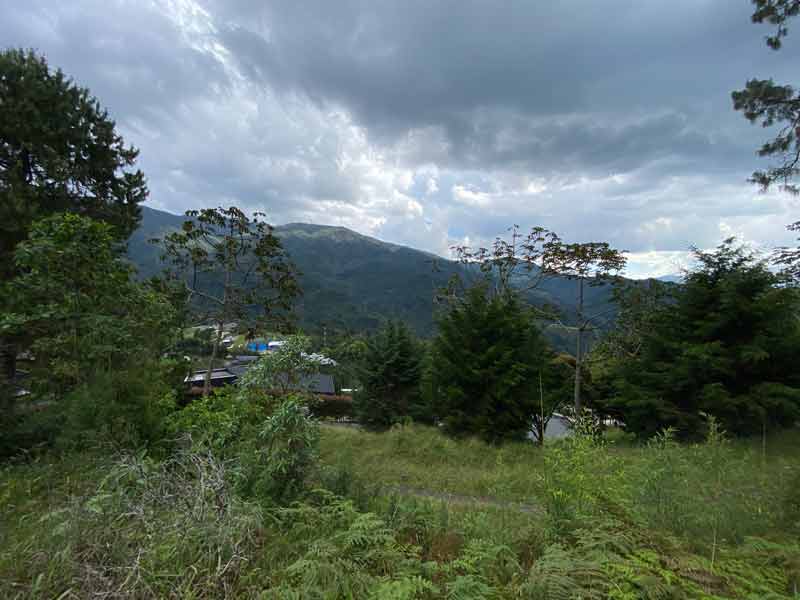 lote en unidad