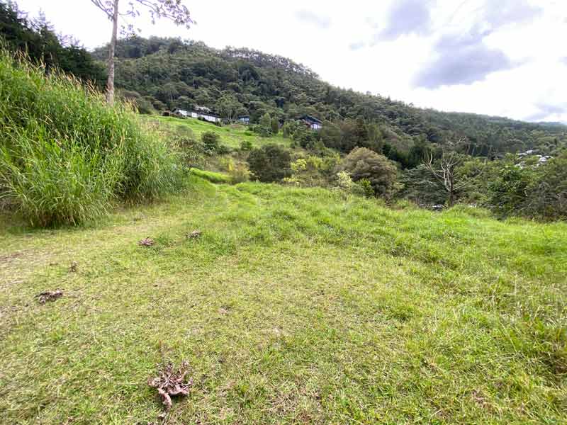 parcela campestre