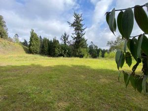 Lote en Sierras de Mayari Llanogrande