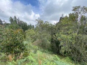 lote cerca al aeropuerto