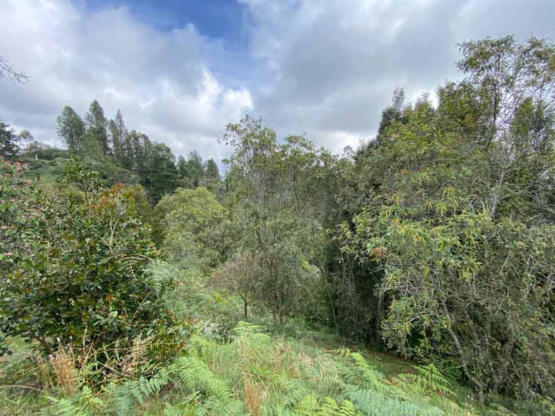 lote cerca al aeropuerto