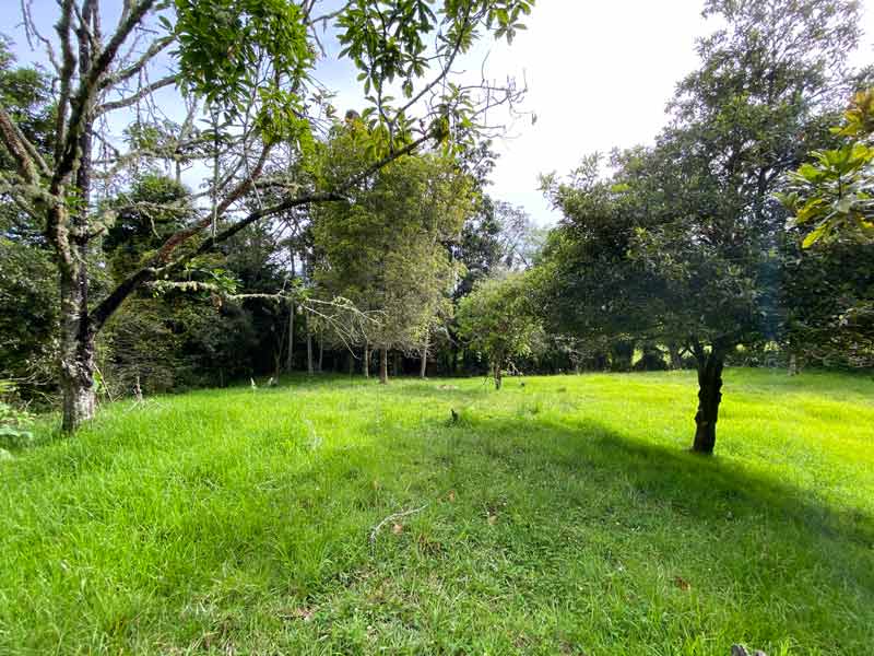lote en perico