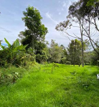 lote en perico