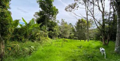 lote en perico
