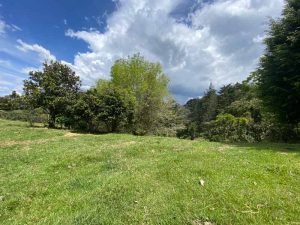 lote en fizebad