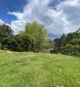 lote en fizebad
