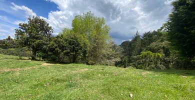 lote en fizebad