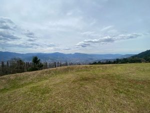 img_0539_800x600
