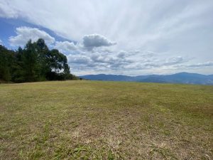 img_0551_800x600