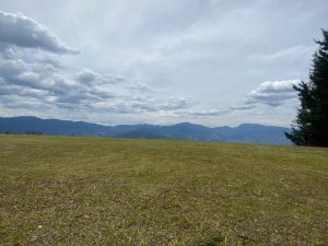 img_0553_800x600