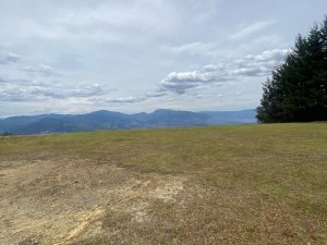 img_0554_800x600
